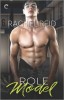 Heated Rivalry Le livre Role Model 